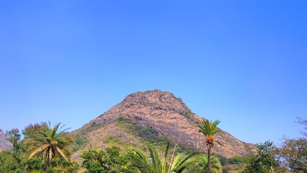 Mount